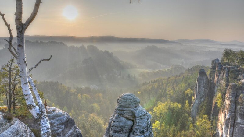 Rock Formations in Forest — Green, Serene, Morning, Photograph, Trees