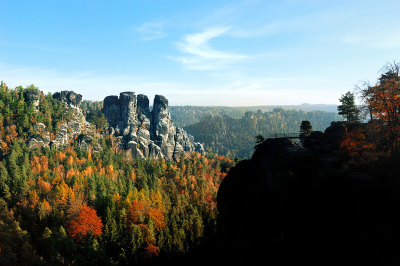 Rock Formations in Forest — Green, Serene