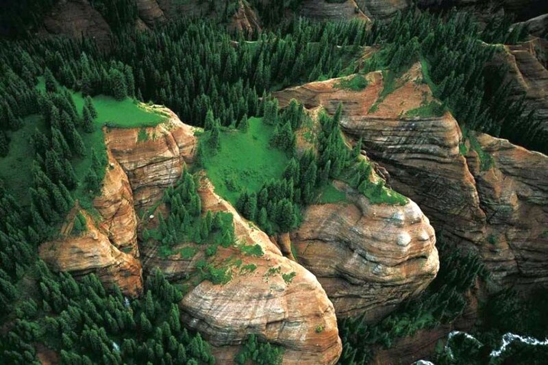 Rock Formations in Forest — Green