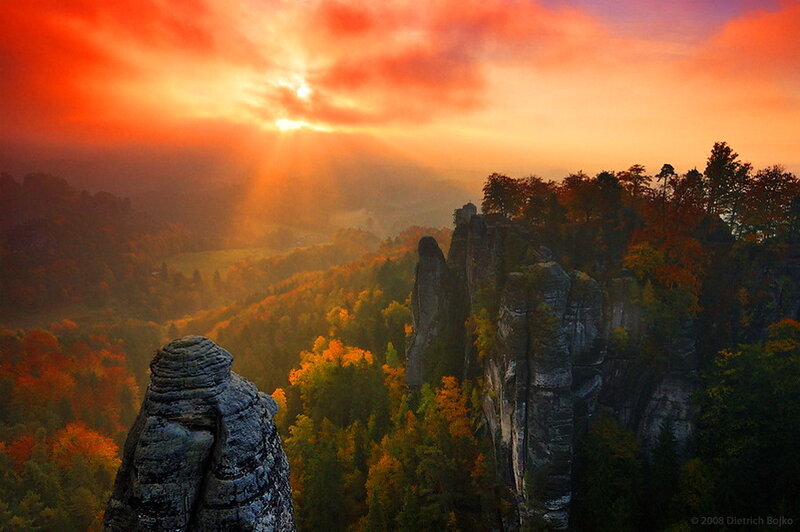 Rock Formations in Forest