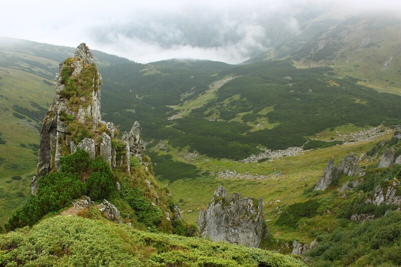 Rock Formations in Mountains — Green, Misty