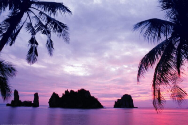 Rock Formations in Ocean — Purple, Serene, Sunset, Photograph, Palm Trees