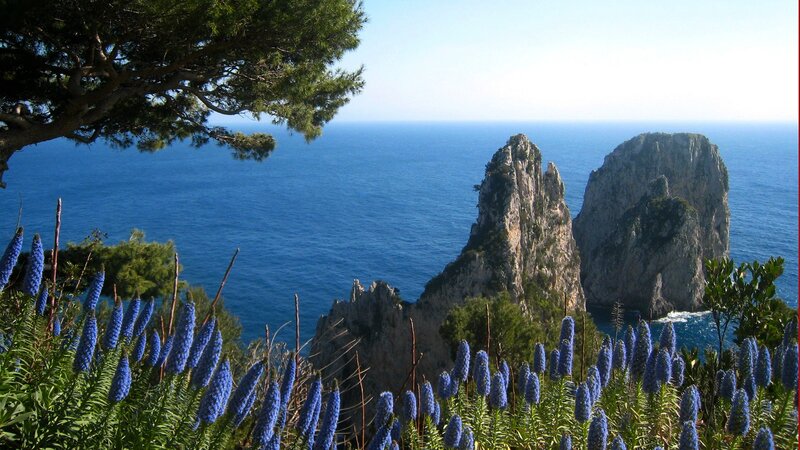 Rock Formations in Sea — Blue, Serene, Afternoon, Photograph, Flowers
