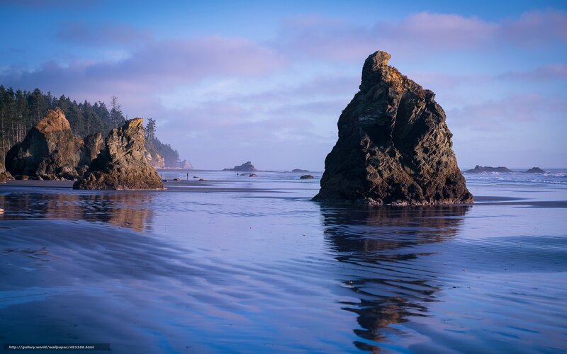 Rock Formations on Beach — Blue, Serene, Sunset, Photograph, Ocean, Trees