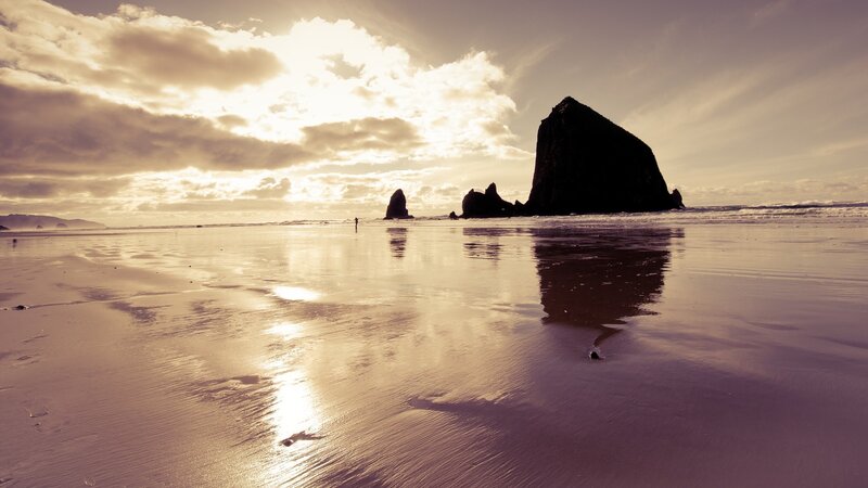 Rock Formations on Beach — Brown, Serene