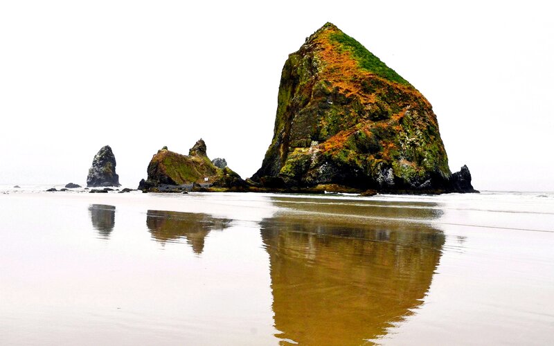 Rock Formations on Beach — Green