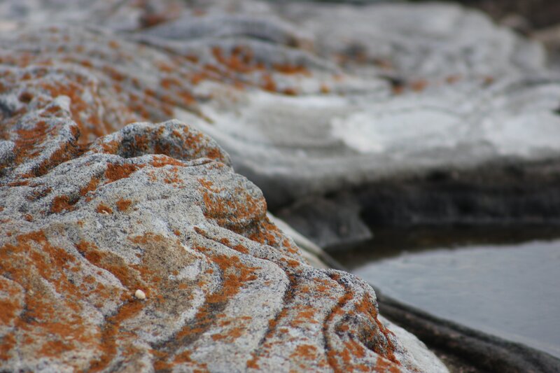 rock formations with lichen