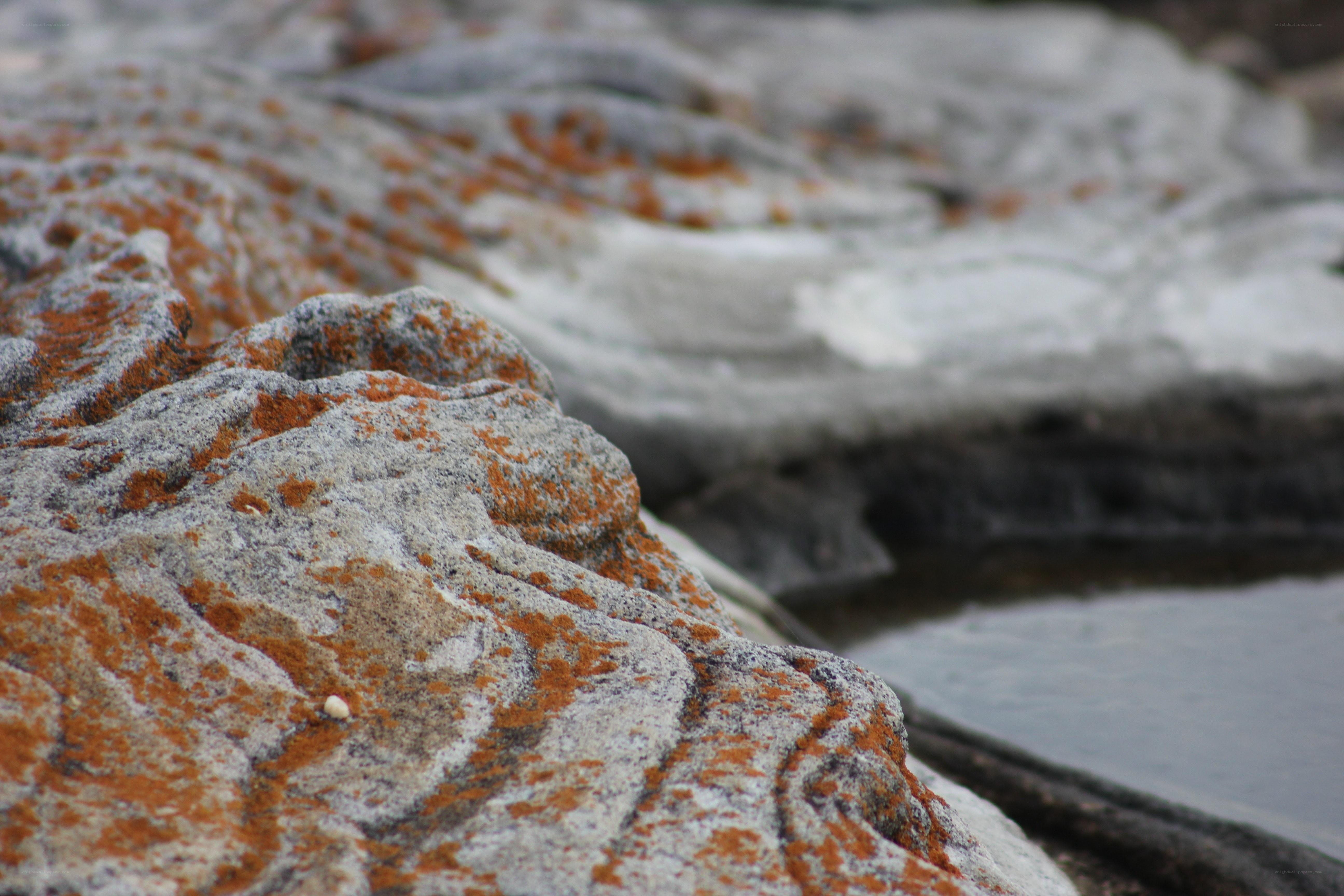 rock formations with lichen
