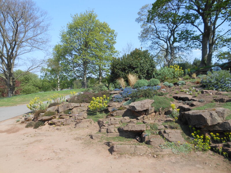 Rock Garden with Flowers — Green, Serene
