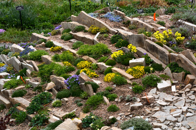 Rock Garden with Flowers — Green