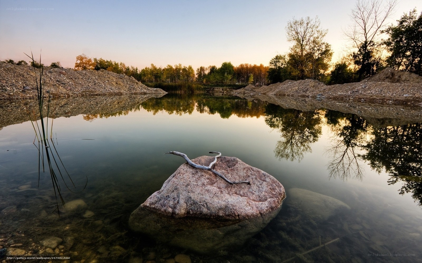 Rock in a calm pond at sunset