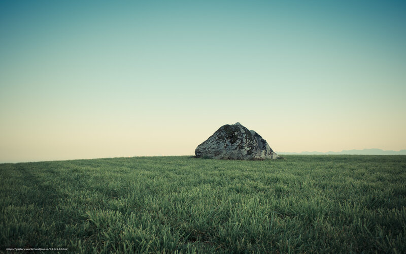 Rock in a Green Field
