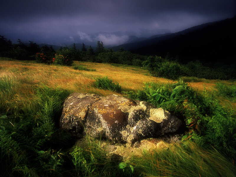Rock in a Meadow — Green