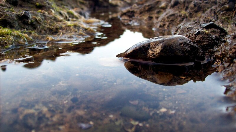Rock in a tidal pool