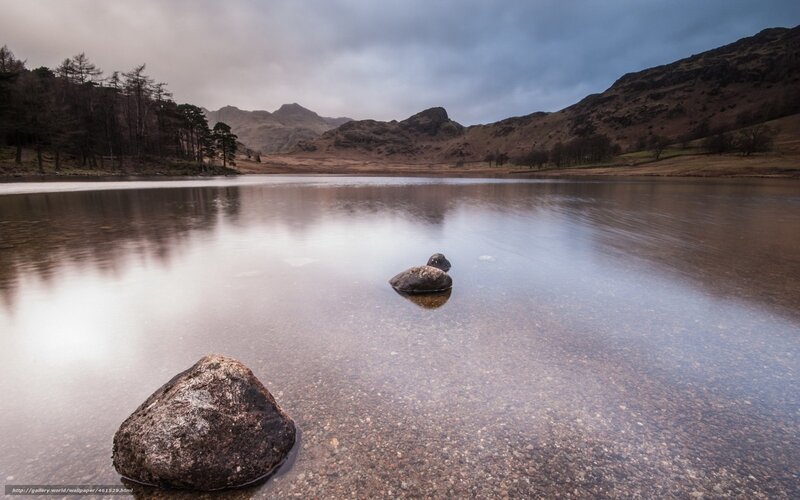 Rock in Calm Lake — Brown
