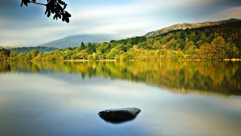 Rock in Calm Lake — Green, Serene