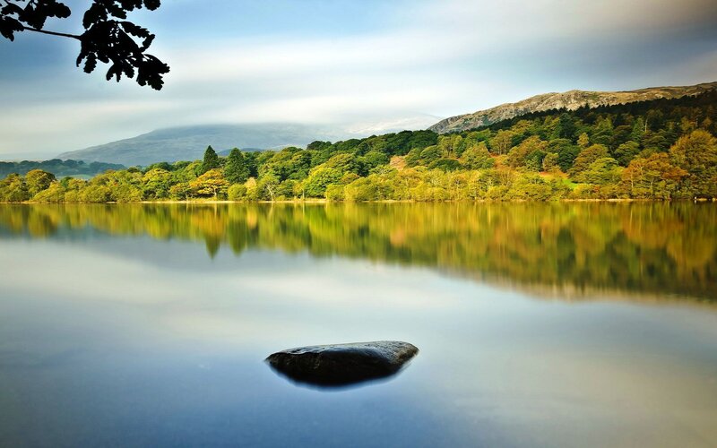 Rock in Calm Lake — Green