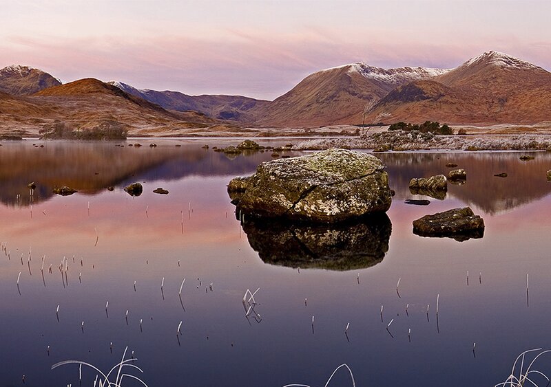 Rock in Calm Lake — Purple