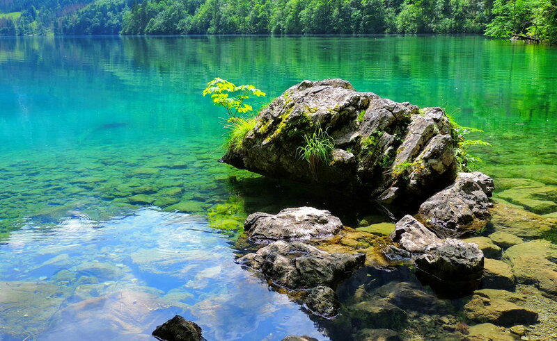 Rock in Clear Lake — Green