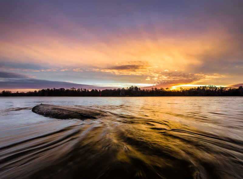 Rock in Flowing Water — Orange