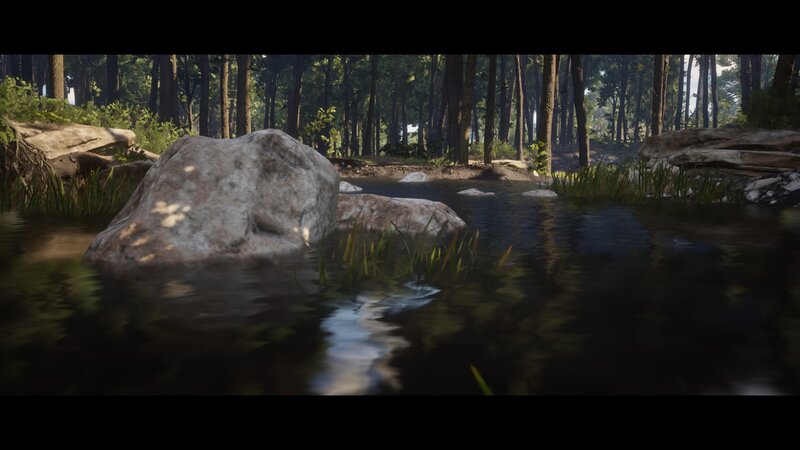 Rock in Forest Stream