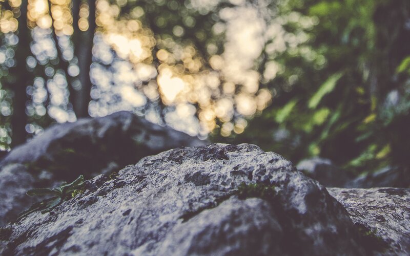 Rock in Forest