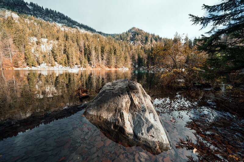 Rock in Mountain Lake — Brown
