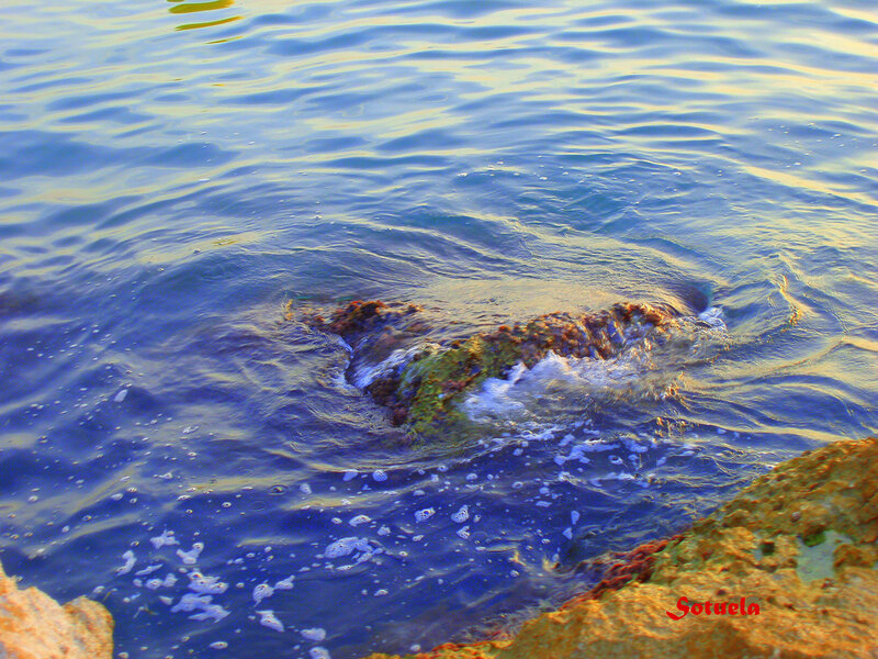 Rock in Ocean Water
