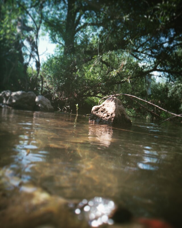Rock in Shallow Stream
