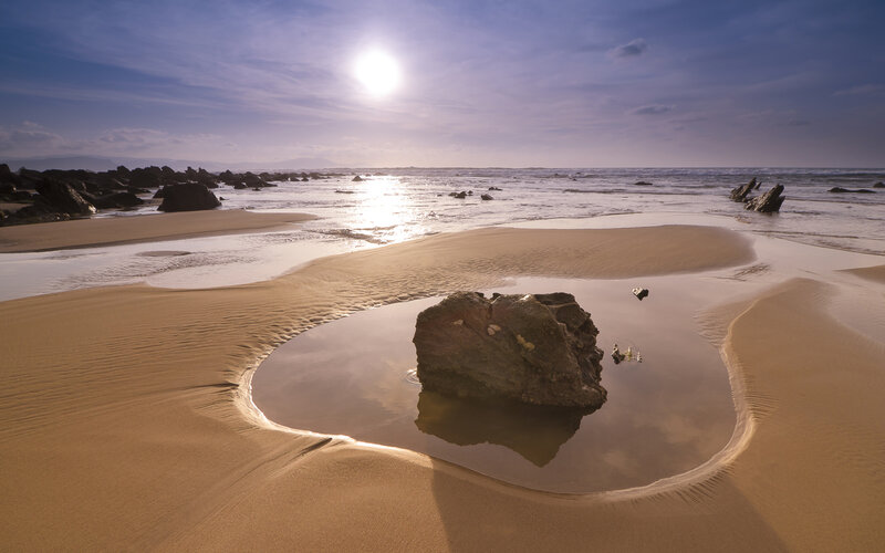 Rock in Tidal Pool — Brown