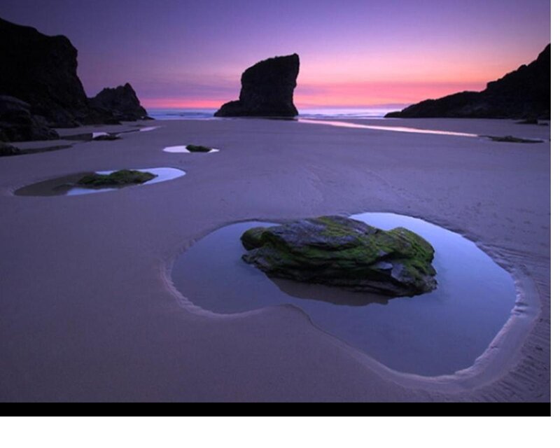 Rock in Tidal Pool — Purple, Serene