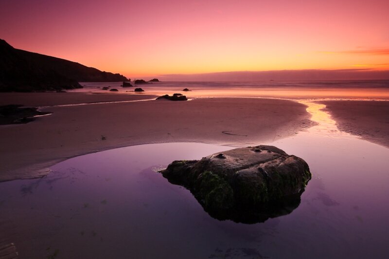Rock in Tidal Pool — Purple