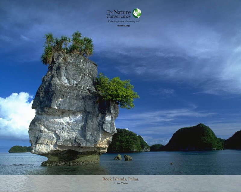 Rock Island in Sea