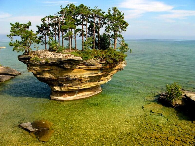 Rock Island with Trees