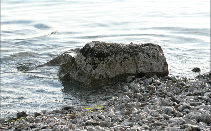 Rock on a pebble beach