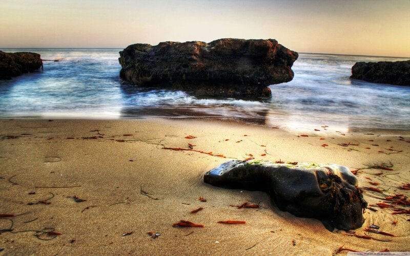 Rock on Beach at Sunset — Brown