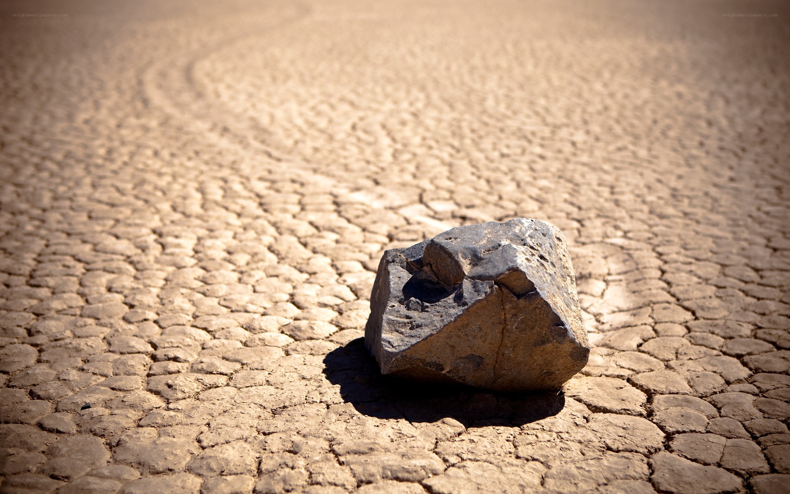 rock on cracked desert ground