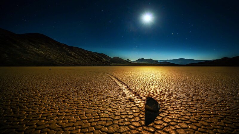 Rock on Cracked Mud — Brown