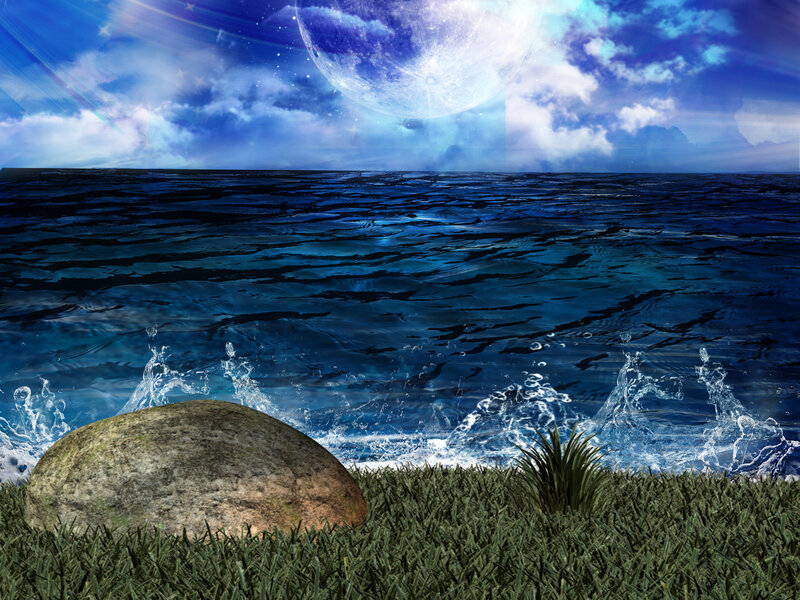 Rock on Grass by Ocean