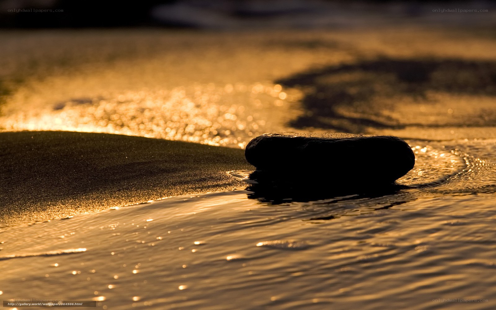 Rock on the beach at sunset
