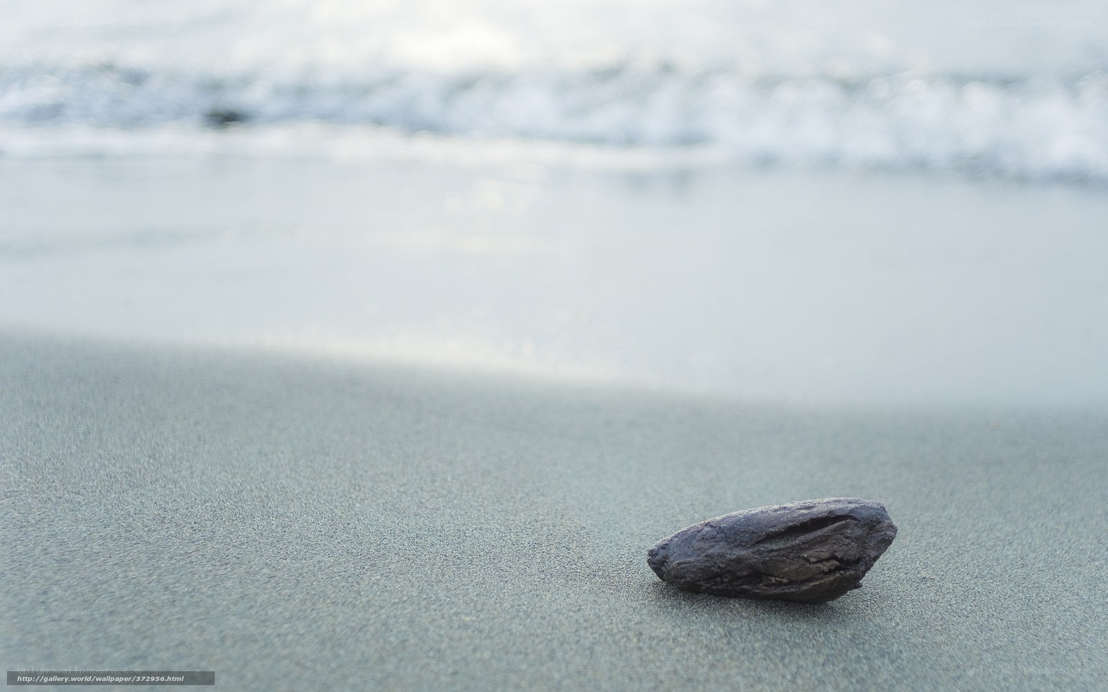 rock on the beach