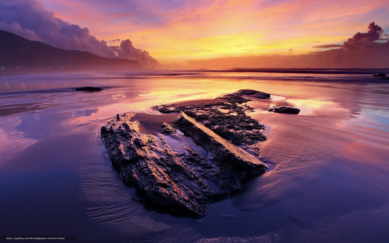 Rock on Wet Beach — Purple, Dramatic