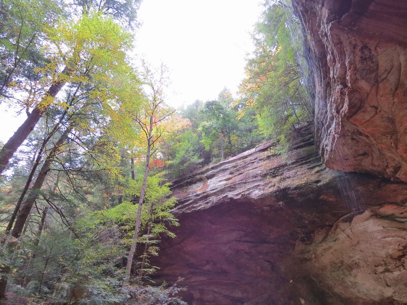 Rock Overhang in Forest — Green