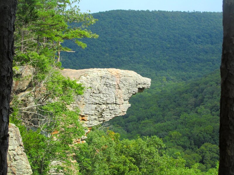 Rock Overhang in Forest