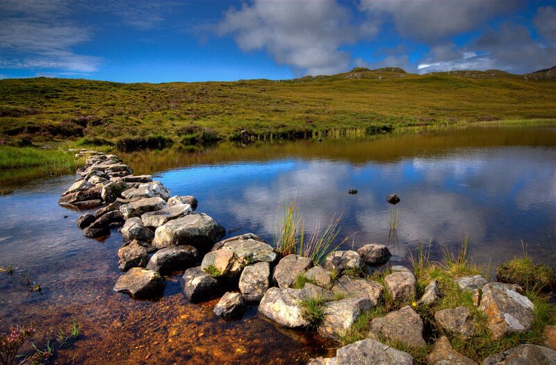 Rock Path in a Pond