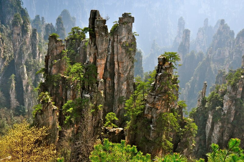 Rock Pillars in Forest — Green, Dramatic