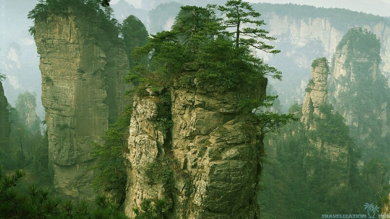 Rock Pillars in Forest — Green, Misty