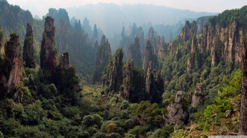 Rock Pillars in Forest — Green, Serene, Afternoon