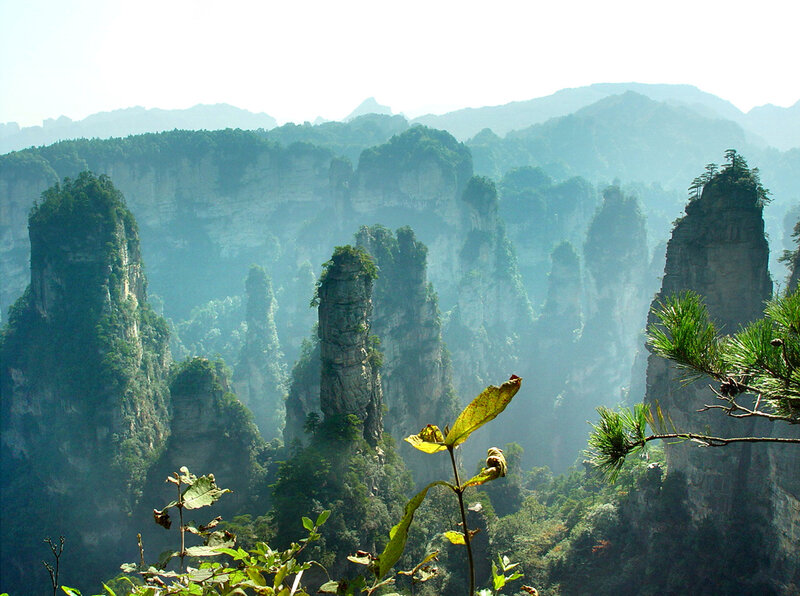 Rock Pillars in Forest — Green, Serene, Morning, Photograph, Trees