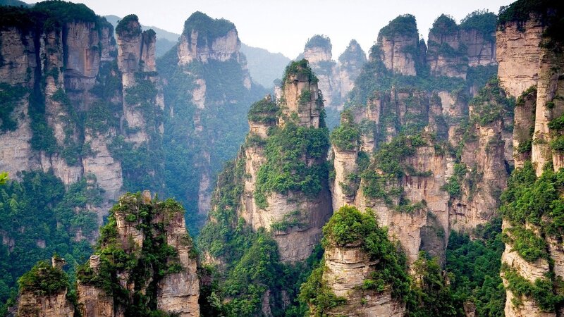 Rock Pillars in Forest — Green, Serene, Morning
